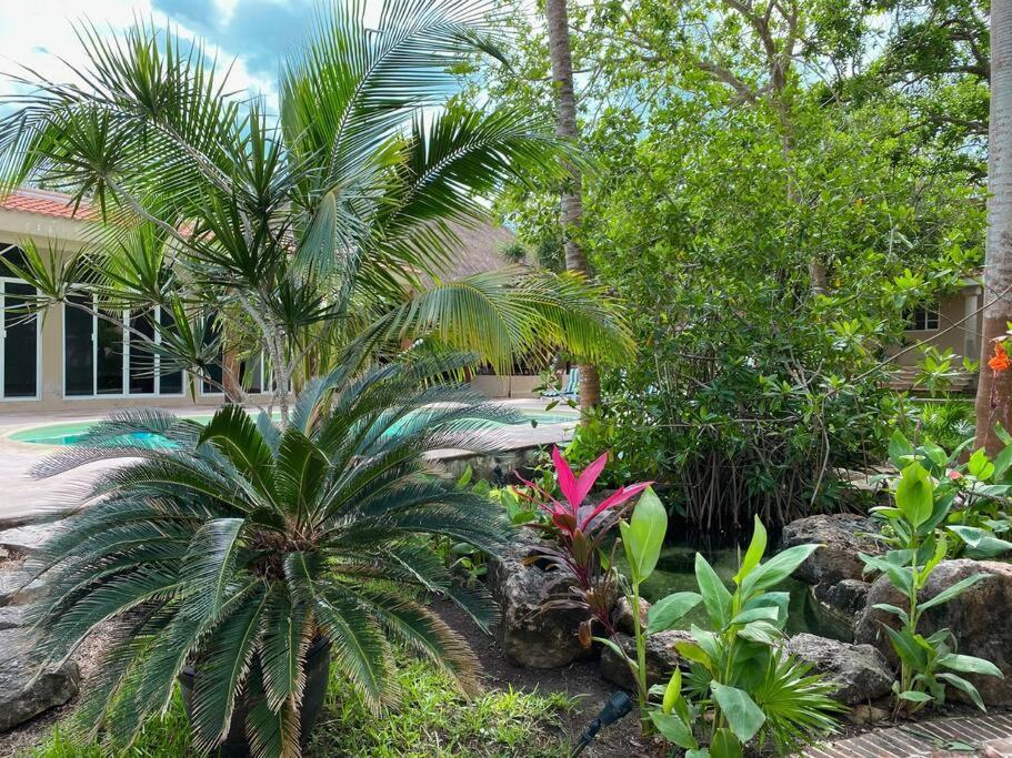 Casa Paamul Villa Playa del Carmen Kültér fotó